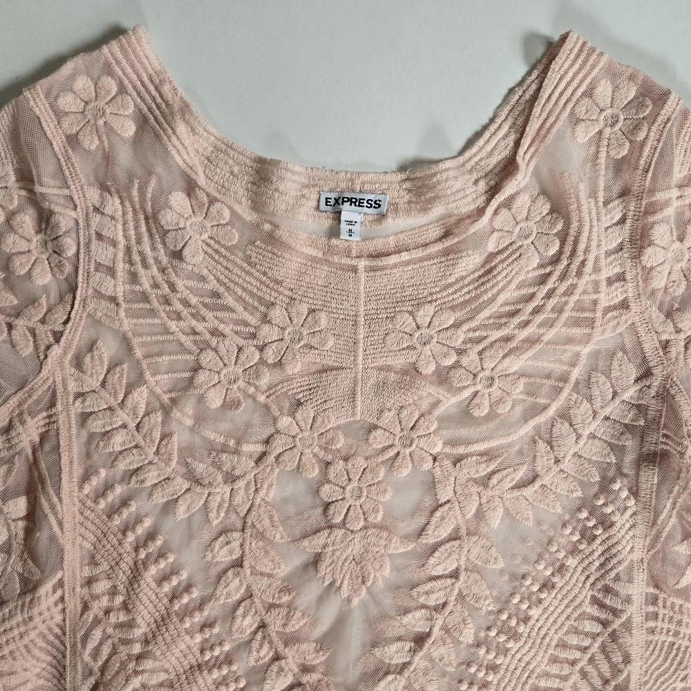 Express Sheer Embroidered Lace Crew Neck Top in soft Pink sz M - Picture 2 of 8